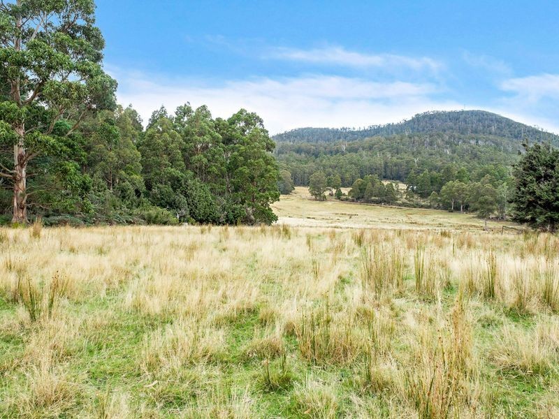 155 Vinces Saddle Road, Sandfly TAS 7150