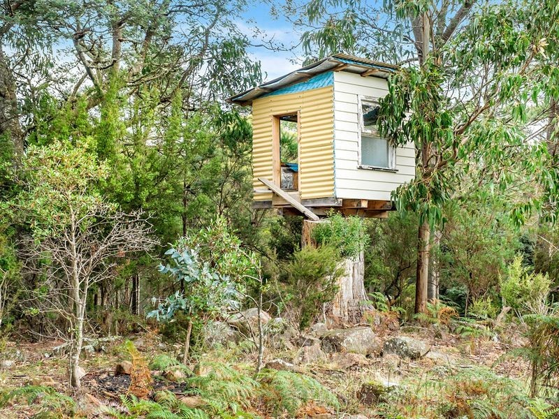 155 Vinces Saddle Road, Sandfly TAS 7150