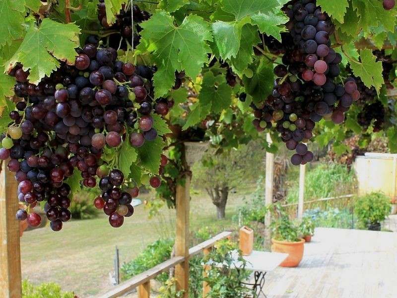 186 Sandfly Road, Margate TAS 7054