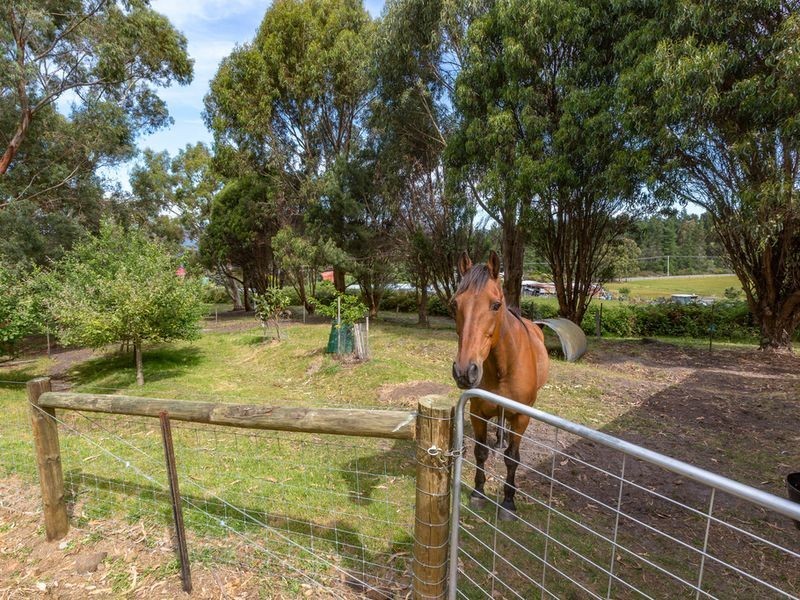 4634 Channel Highway, Gordon TAS 7150
