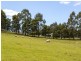 41 Cuthberts Road, Margate TAS 7054