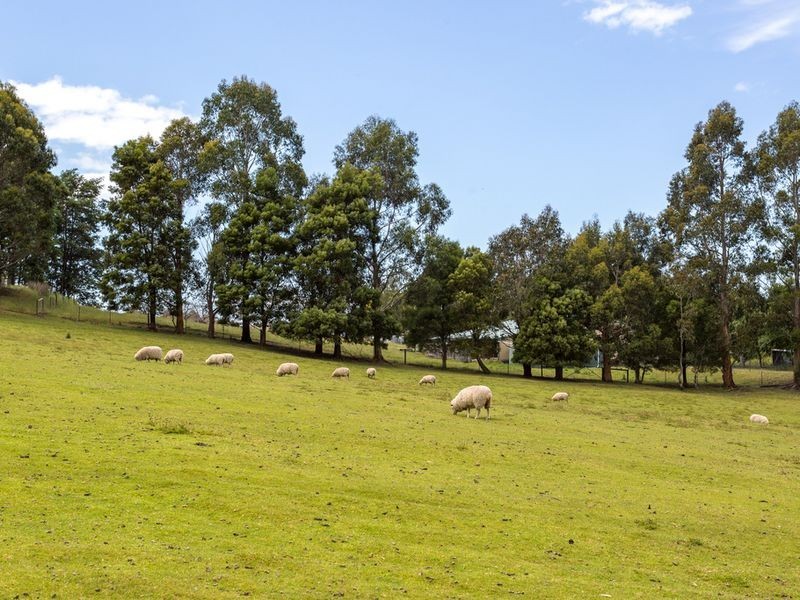 41 Cuthberts Road, Margate TAS 7054