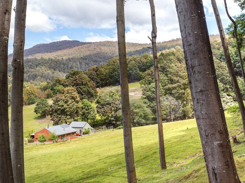 41 Cuthberts Road, Margate TAS 7054