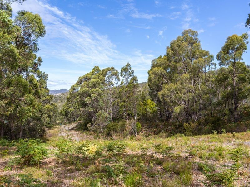 76 Davies Road, Lower Snug TAS 7054