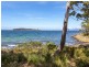 . Channel Highway, Charlotte Cove TAS 7112