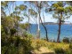 . Channel Highway, Charlotte Cove TAS 7112
