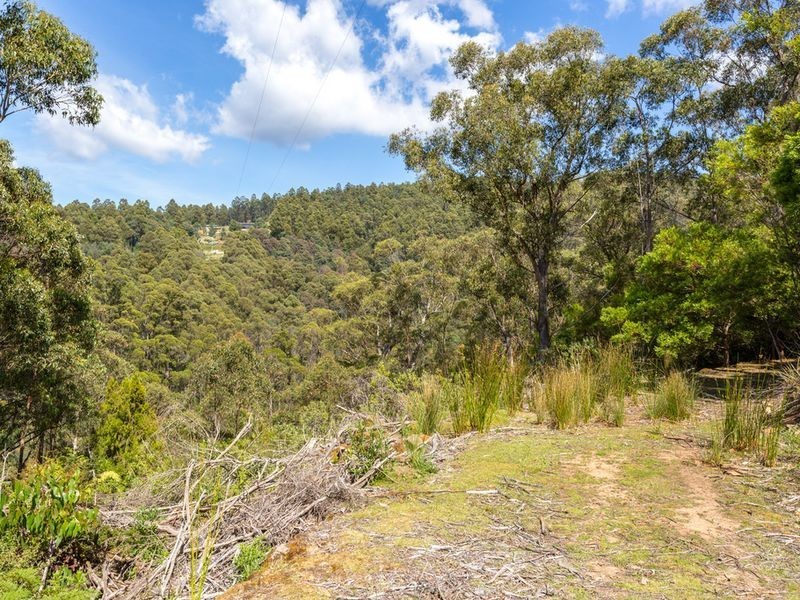 Snug Tiers Road, Snug TAS 7054
