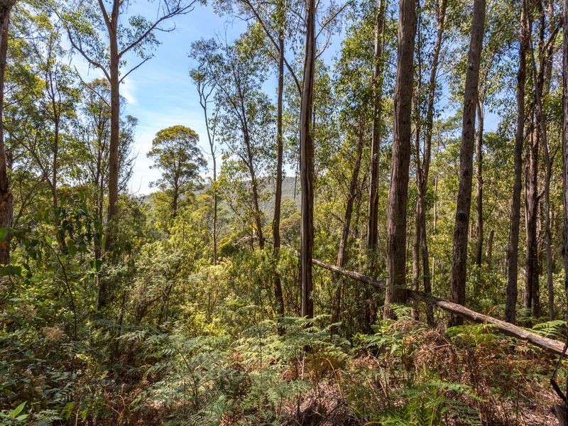 Snug Tiers Road, Snug TAS 7054
