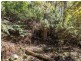 Snug Tiers Road, Snug TAS 7054