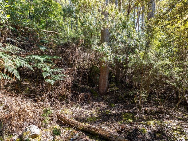 Snug Tiers Road, Snug TAS 7054