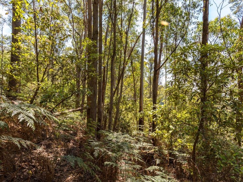 Snug Tiers Road, Snug TAS 7054