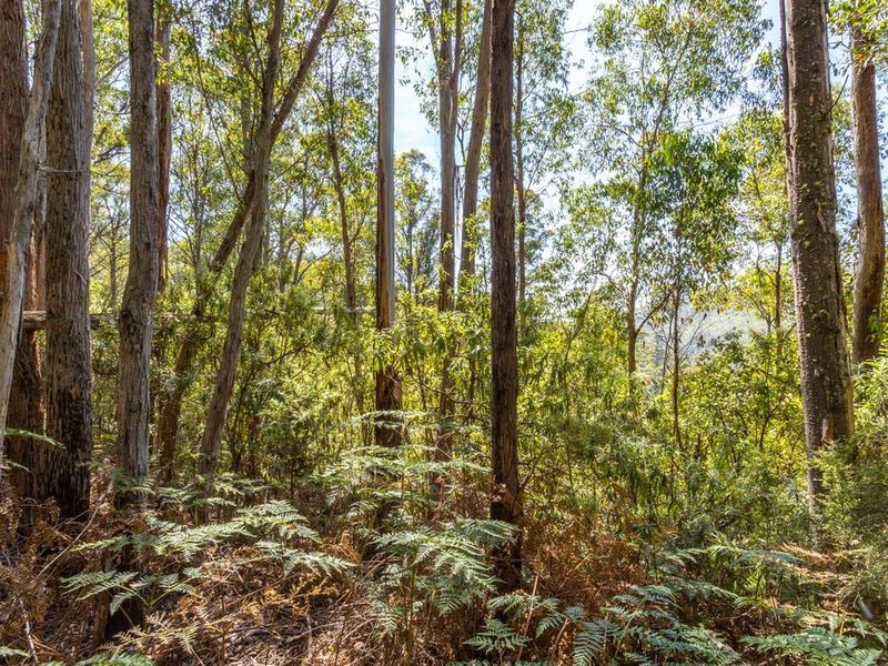 Snug Tiers Road, Snug TAS 7054