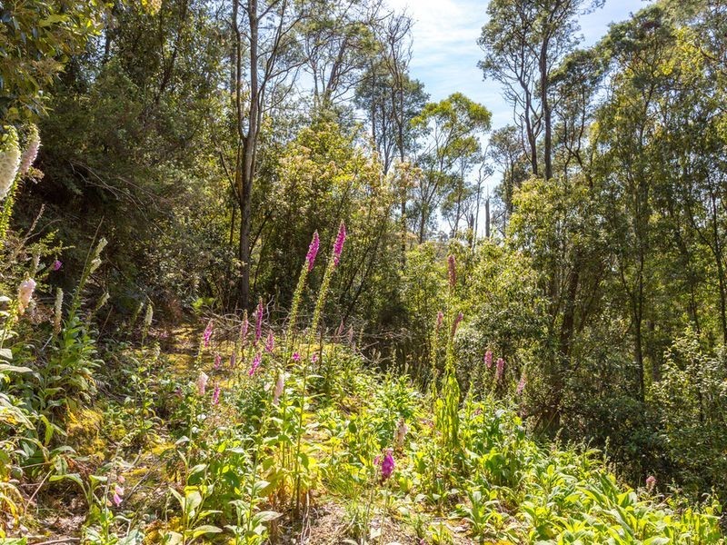 Snug Tiers Road, Snug TAS 7054