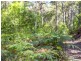 Snug Tiers Road, Snug TAS 7054