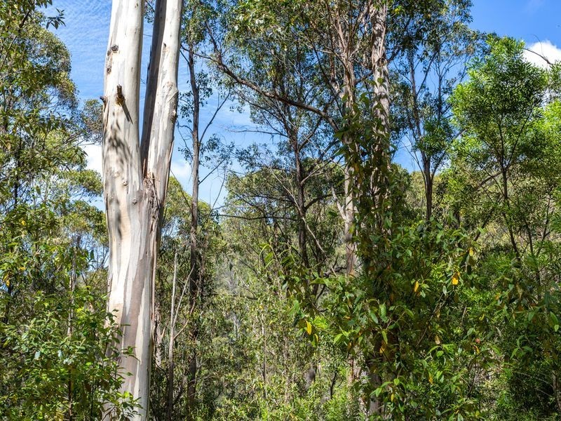 Snug Tiers Road, Snug TAS 7054