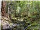 Snug Tiers Road, Snug TAS 7054
