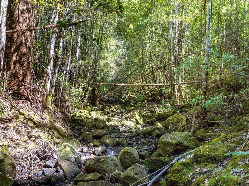 Snug Tiers Road, Snug TAS 7054