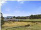39 Snug Tiers Road, Snug TAS 7054