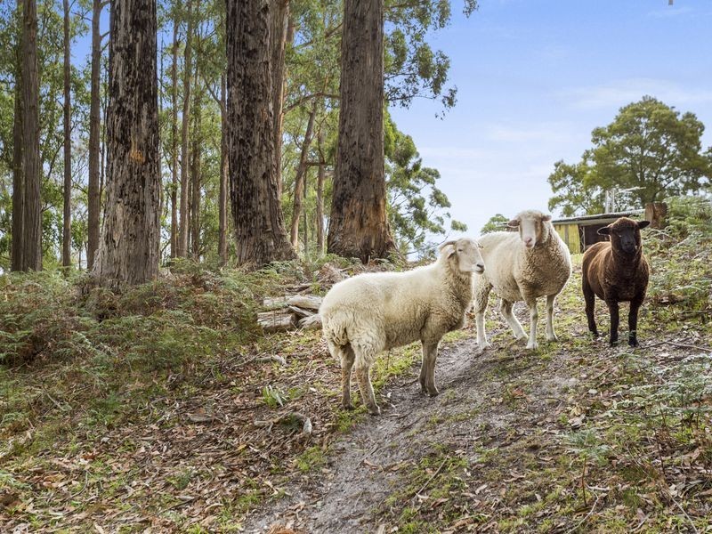 94 Knights Road, Huonville TAS 7109