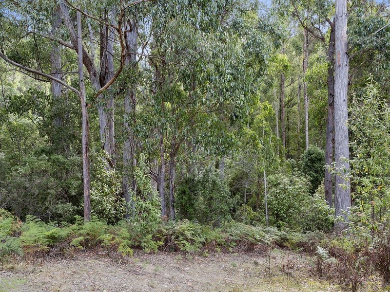Watsons Road, Kettering TAS 7155