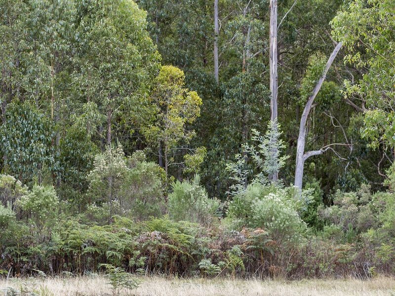 Watsons Road, Kettering TAS 7155