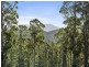 Lot 1 McGowans Road, Margate TAS 7054
