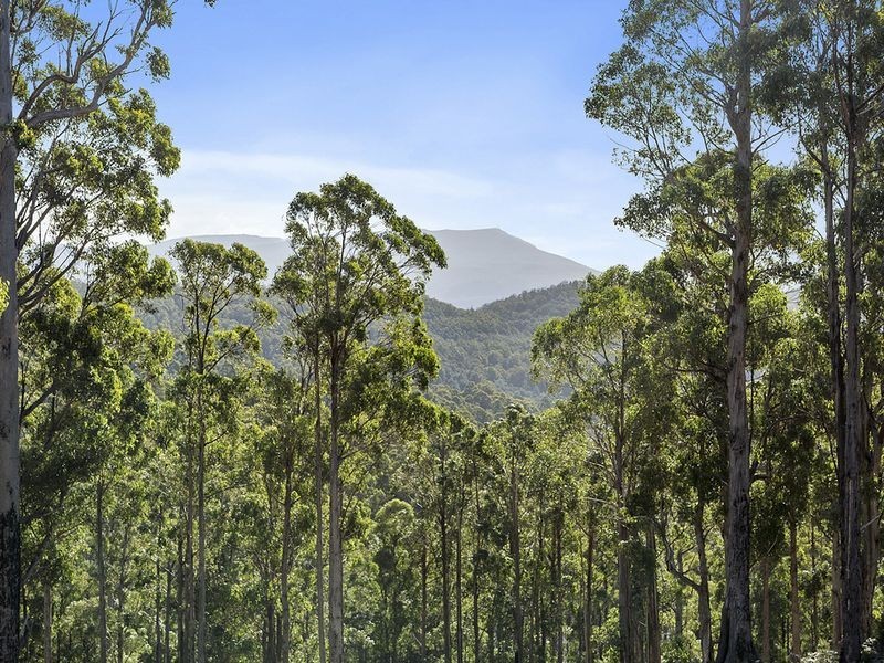 Lot 1 McGowans Road, Margate TAS 7054