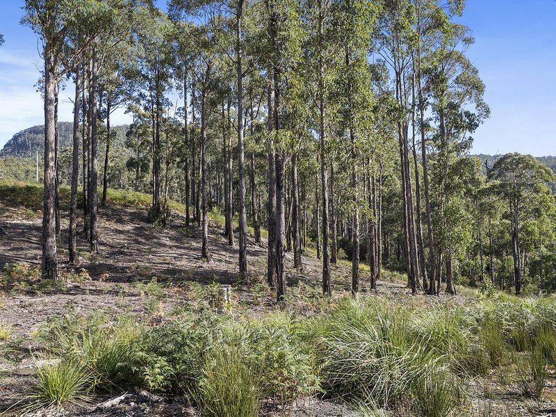 Lot 1 McGowans Road, Margate TAS 7054