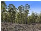 Lot 1 McGowans Road, Margate TAS 7054