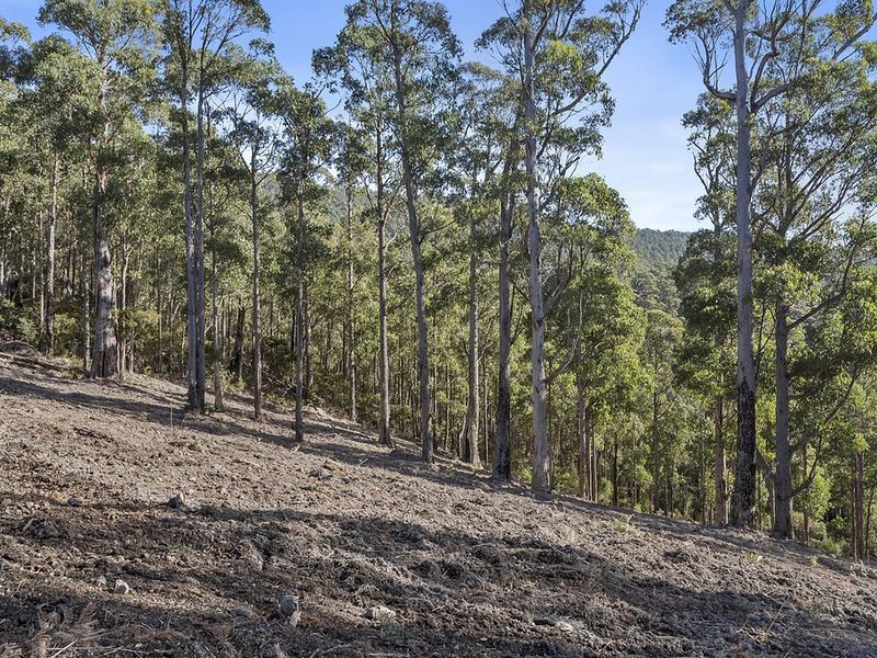 Lot 1 McGowans Road, Margate TAS 7054