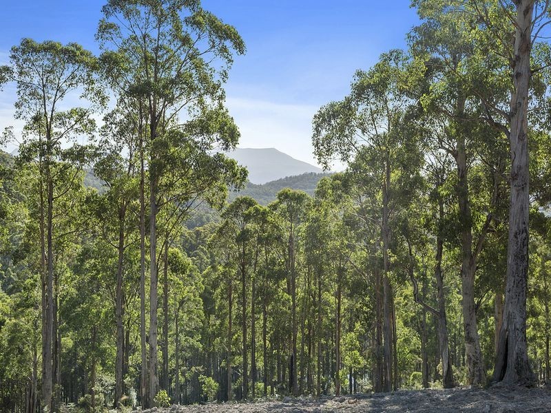 Lot 1 McGowans Road, Margate TAS 7054