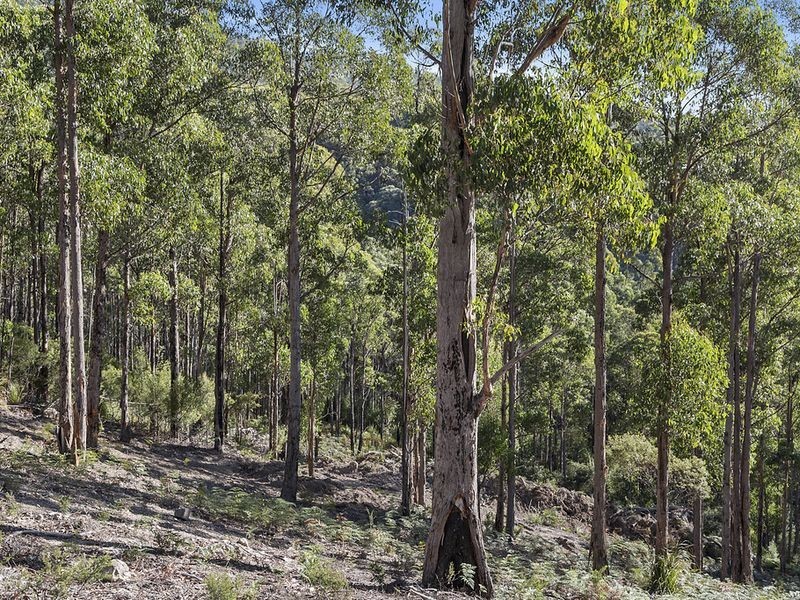 Lot 1 McGowans Road, Margate TAS 7054
