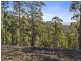 Lot 1 McGowans Road, Margate TAS 7054