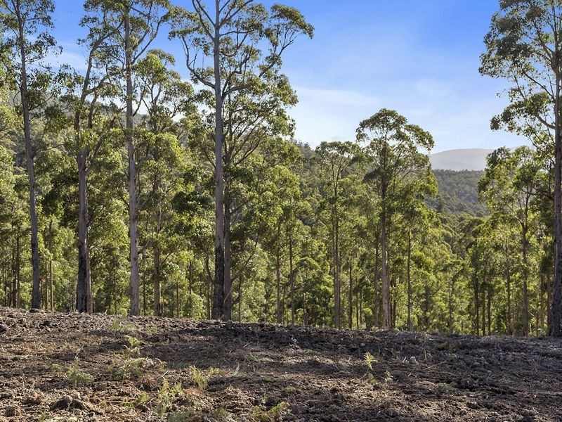 Lot 1 McGowans Road, Margate TAS 7054