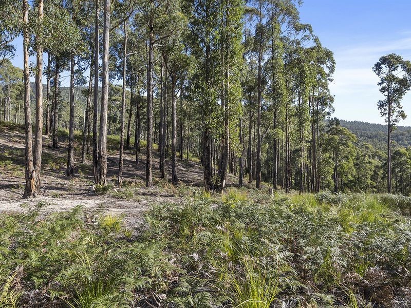 Lot 1 McGowans Road, Margate TAS 7054