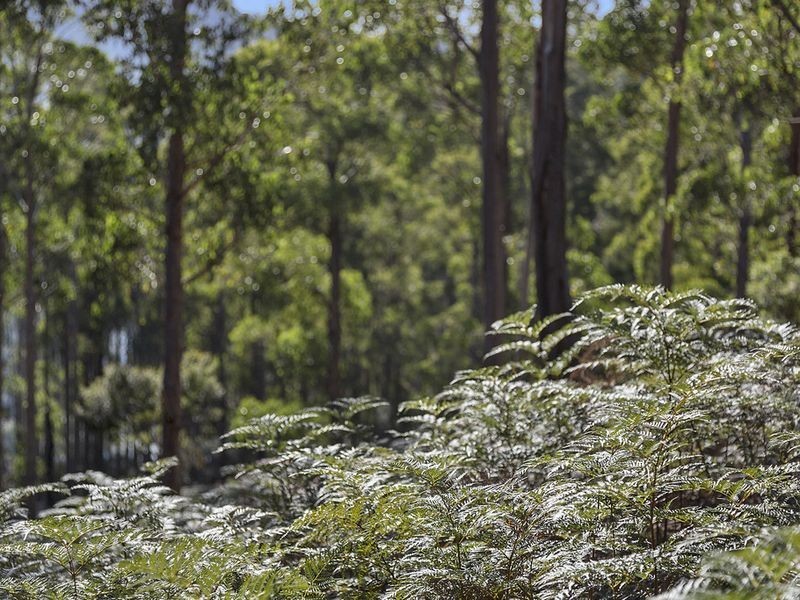 Lot 1 McGowans Road, Margate TAS 7054