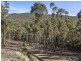 Lot 1 & Lot 2 McGowans Road, Margate TAS 7054