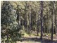 Lot 1 & Lot 2 McGowans Road, Margate TAS 7054
