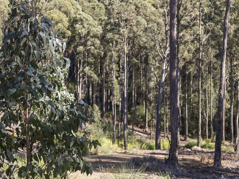 Lot 1 & Lot 2 McGowans Road, Margate TAS 7054