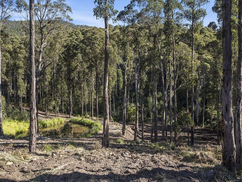 Lot 1 & Lot 2 McGowans Road, Margate TAS 7054
