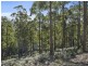 Lot 1 & Lot 2 McGowans Road, Margate TAS 7054