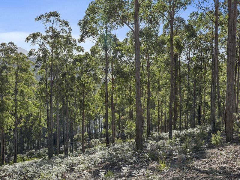 Lot 1 & Lot 2 McGowans Road, Margate TAS 7054