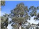 Lot 1 & Lot 2 McGowans Road, Margate TAS 7054