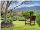 10 Blackwood Grove, Margate TAS 7054