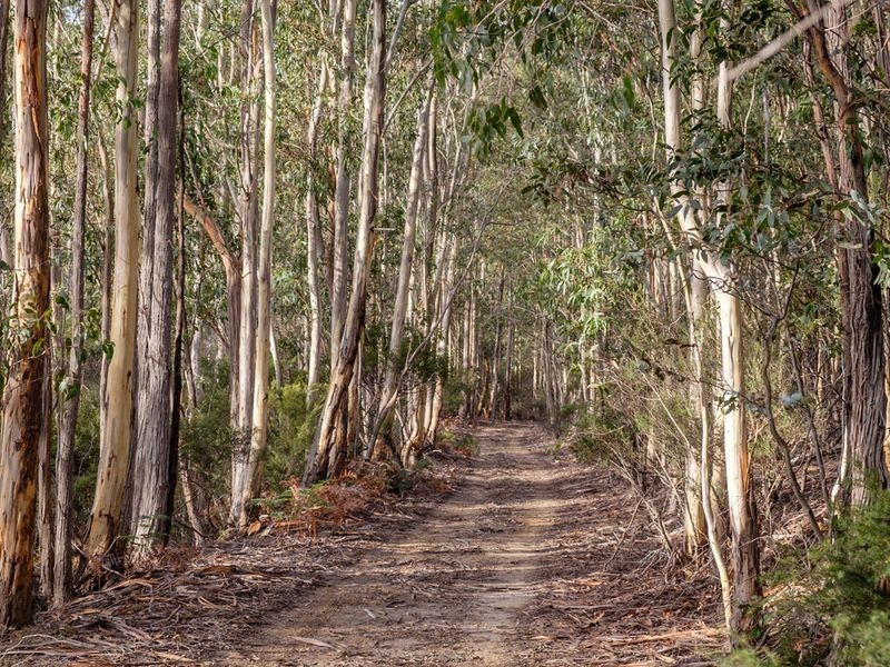 . Mudges Road, Allens Rivulet TAS 7150