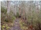 . Mudges Road, Allens Rivulet TAS 7150