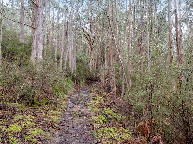 . Mudges Road, Allens Rivulet TAS 7150