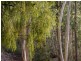 . Mudges Road, Allens Rivulet TAS 7150