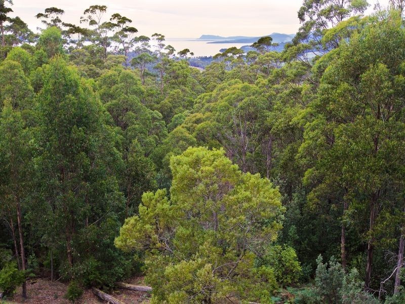 199 Groombridges Road, Kettering TAS 7155