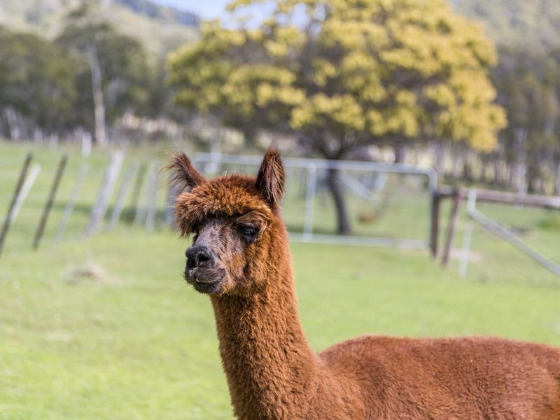 225 Sandfly Road, Margate TAS 7054